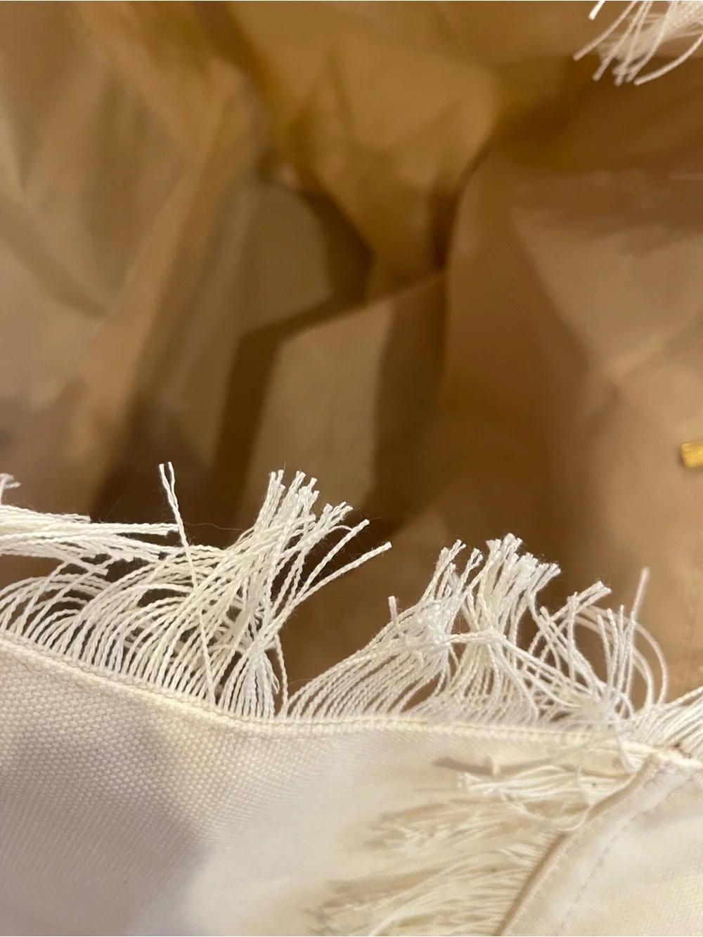Dolce Vita Cream Canvas Fringe Tote with Light Blue Logo